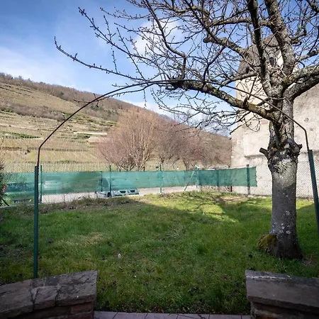 Lejlighed De La Mairie Kaysersberg-Vignoble